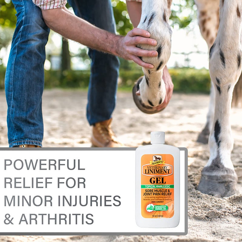 Absorbine مرهم أبسوربين البيطري المسكن الموضعي لتخفيف آلام العضلات المؤلمة والتهاب المفاصل، 12 أونصة جل - Image 5
